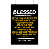 MSPTA Benefit Matte Vertical Posters