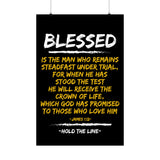 MSPTA Benefit Matte Vertical Posters