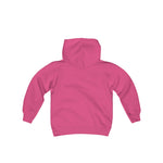 MSP Lakeview Youth Hooded Sweatshirt